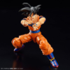 Bandai - Dragon Ball Z - Son Goku Model Kit